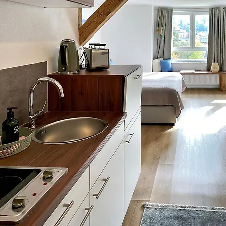 Mainzauber Apartment Miltenberg